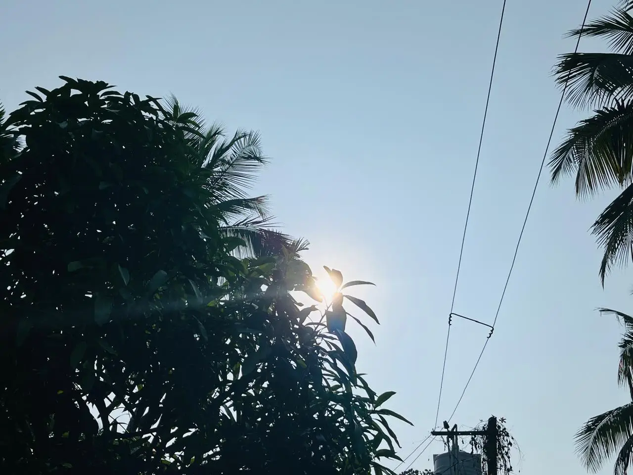 Kerala Weather 04/03/26 : സംസ്ഥാനത്ത് ഇന്ന് ചൂട് കനക്കും; ചില ഭാഗങ്ങളിൽ വൈകിട്ട് മഴ സാധ്യത