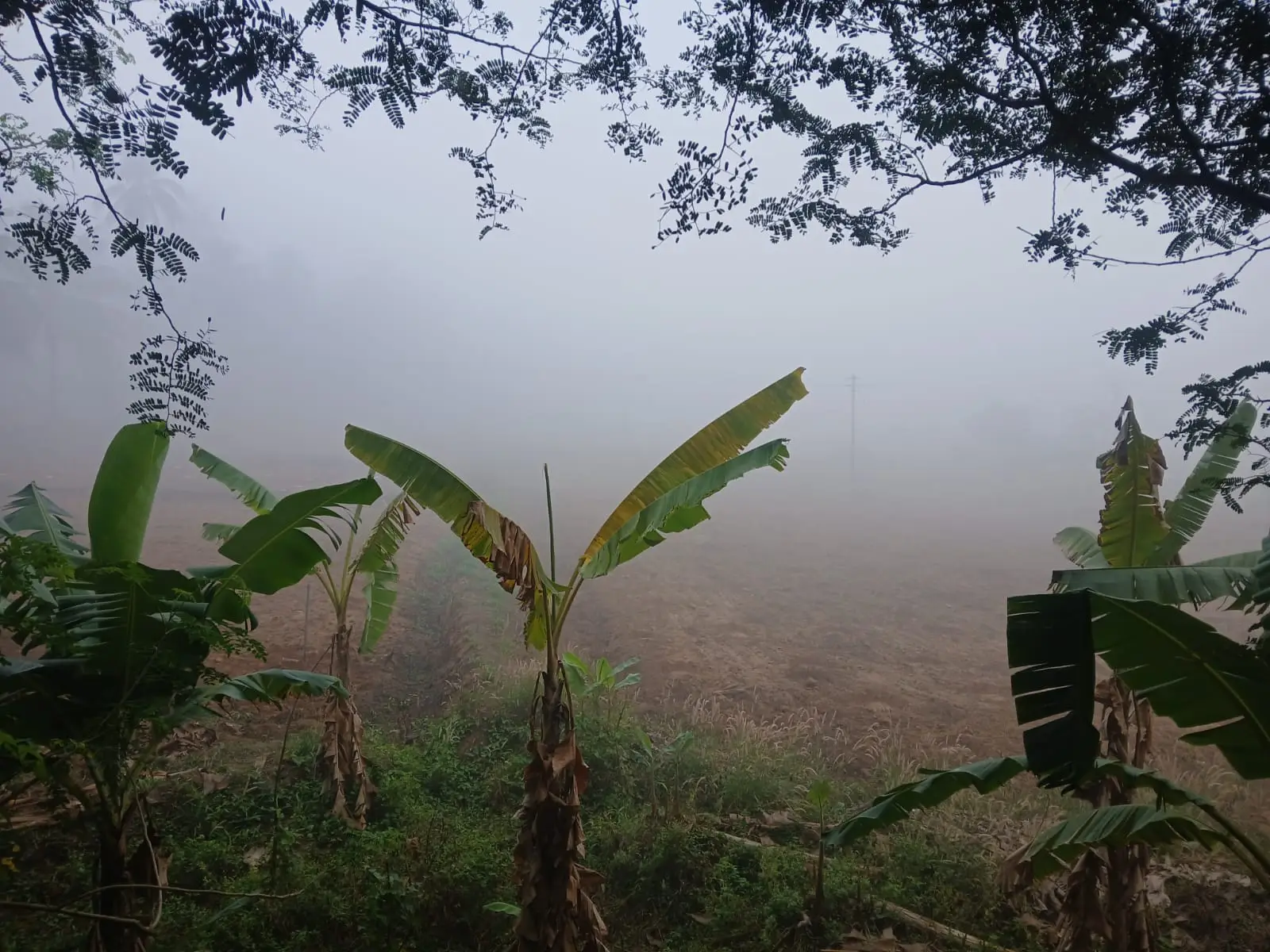 Kerala Weather 05/03/25 : ഇന്ന് ഈ മേഖലകളിൽ ചൂട് കൂടും, ഒറ്റപ്പെട്ട മഴ, രാത്രി മൂടൽ മഞ്ഞ്