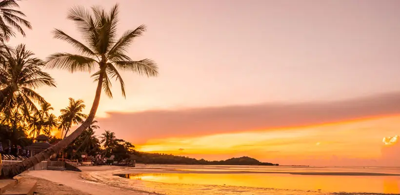 Kerala Weather 06/03/26 : സംസ്ഥാനത്ത് ചൂട് കനക്കും, പാലക്കാടും, തൃശൂരും മുന്നിൽ, മഴയ്ക്ക് സാധ്യത കുറവ്, രാവിലെ മൂടൽ മഞ്ഞ് 