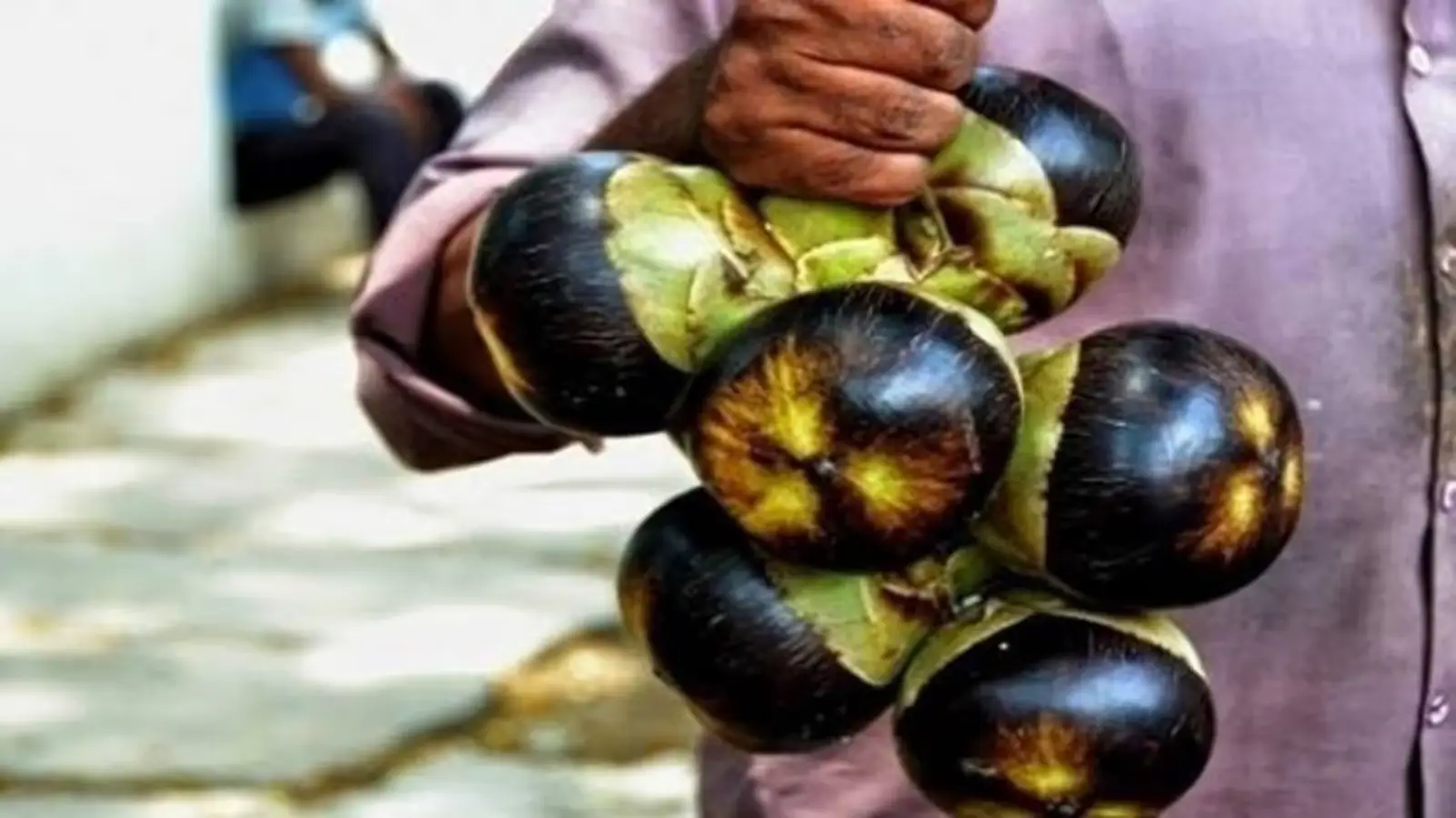 വേനൽച്ചൂടിന് പ്രകൃതിദത്ത ആശ്വാസം, വഴിയോരങ്ങളിൽ കാണുന്ന നൊങ്കിന് ഏറെ ഗുണങ്ങളും ഉപയോഗങ്ങളും 