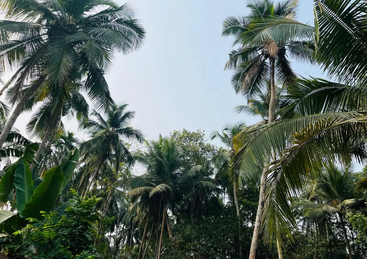Kerala Weather 09/03/26 : സംസ്ഥാനത്ത് ഇന്ന് ചൂടും ഈർപ്പവും കൂടിയ കാലാവസ്ഥ, ചില ജില്ലകളിൽ വൈകുന്നേരത്തോടെ ഒറ്റപ്പെട്ട മഴയ്ക്ക് സാധ്യത