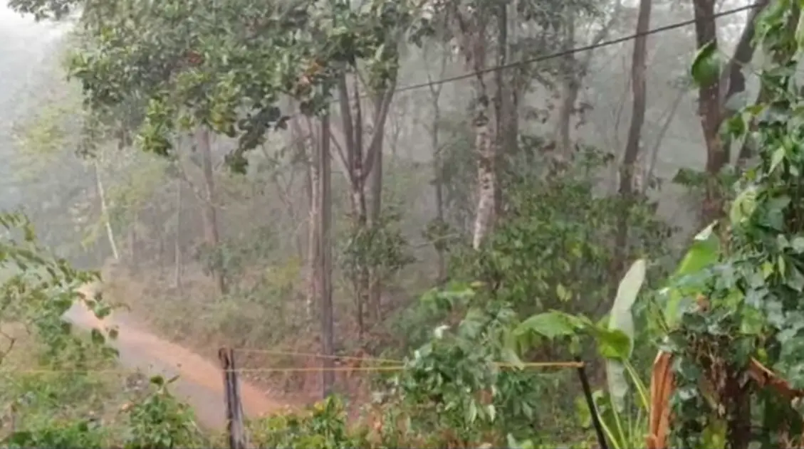 Kerala Summer Rain : കേരളത്തിൽ കടുത്ത ചൂടിനിടയിൽ ശക്തമായ വേനൽമഴ എത്തി, വിവിധ ജില്ലകളിൽ മഴ തകർത്തു പെയ്തു