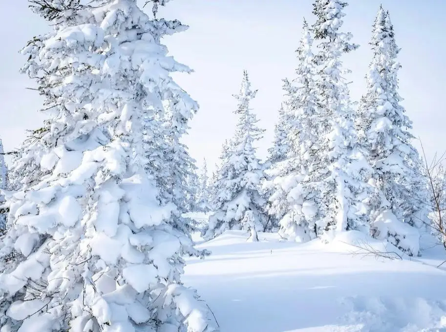 അമേരിക്കയിലെ ഏഴ് സംസ്ഥാനങ്ങളിൽ കനത്ത മഞ്ഞുവീഴ്ച മുന്നറിയിപ്പ്; ചിലയിടങ്ങളിൽ 50 ഇഞ്ച് വരെ സാധ്യത
