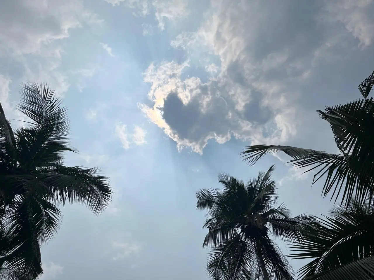 പകൽസമയത്ത് സംസ്ഥാനത്ത് കടുത്ത ചൂടും മൂടിയ അന്തരീക്ഷവും; കാരണം വായുവിലെ ഈർപ്പനിരക്ക് കൂടിയത്, മഴ സാധ്യത 