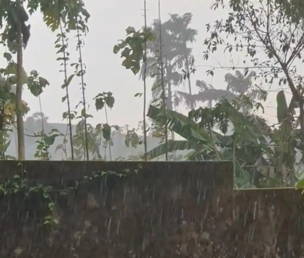 സംസ്ഥാനത്ത് വൈകീട്ട് വിവിധയിടങ്ങളിൽ മഴ തകർത്തു പെയ്തു, ചൂടിനാശ്വാസം