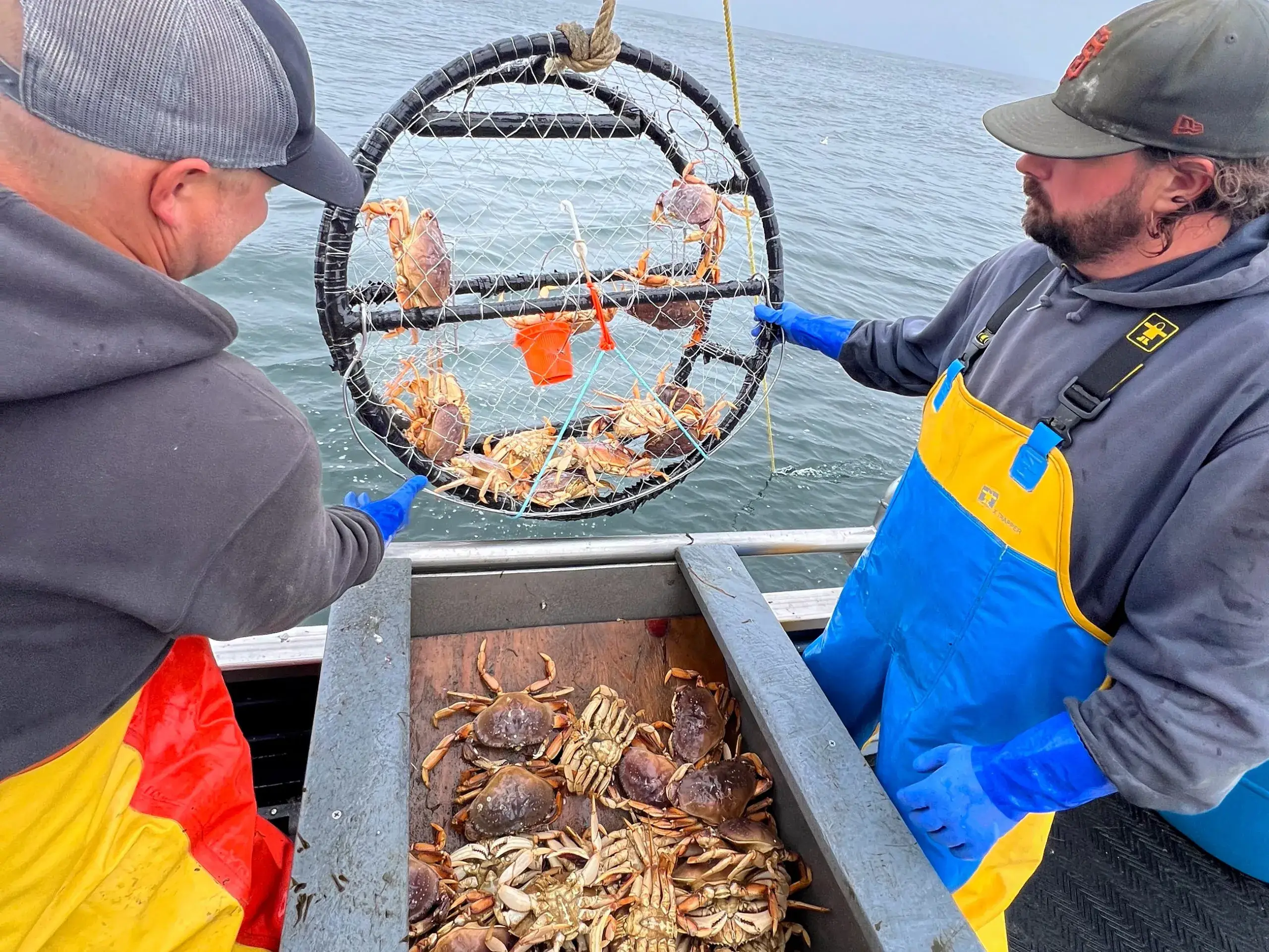 ബഹ്‌റൈനിൽ ഞണ്ട് പിടുത്തത്തിന് രണ്ട് മാസത്തെ നിരോധനം; നാളെ മുതൽ പ്രാബല്യത്തിൽ
