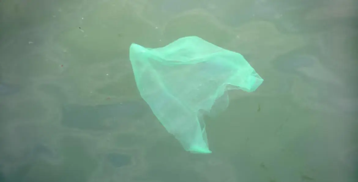 പാലിൽ നിന്ന് പ്ലാസ്റ്റിക്; മലിനീകരണ പ്രതിസന്ധിക്ക് പുതിയ പ്രതീക്ഷ