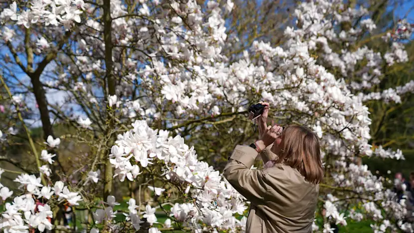 തണുപ്പിൽ നിന്ന് വസന്തചൂടിലേക്ക്; യുകെയിൽ കാലാവസ്ഥയിൽ വലിയ മാറ്റം