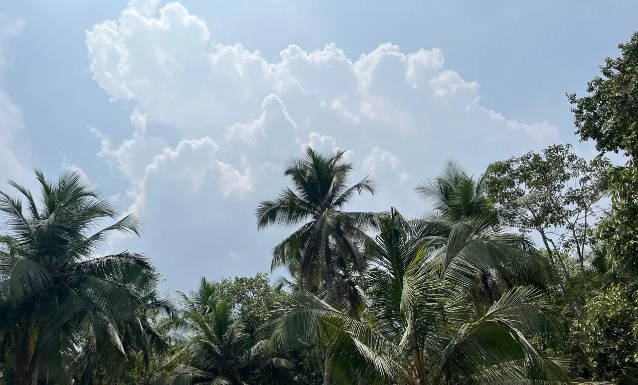 Kerala Weather 18/03/26 : ചൂടിനൊപ്പം ഇടിയോടുകൂടിയ മഴക്ക് സാധ്യത; സംസ്ഥാനത്ത് ഈർപ്പം കൂടിയ കാലാവസ്ഥ