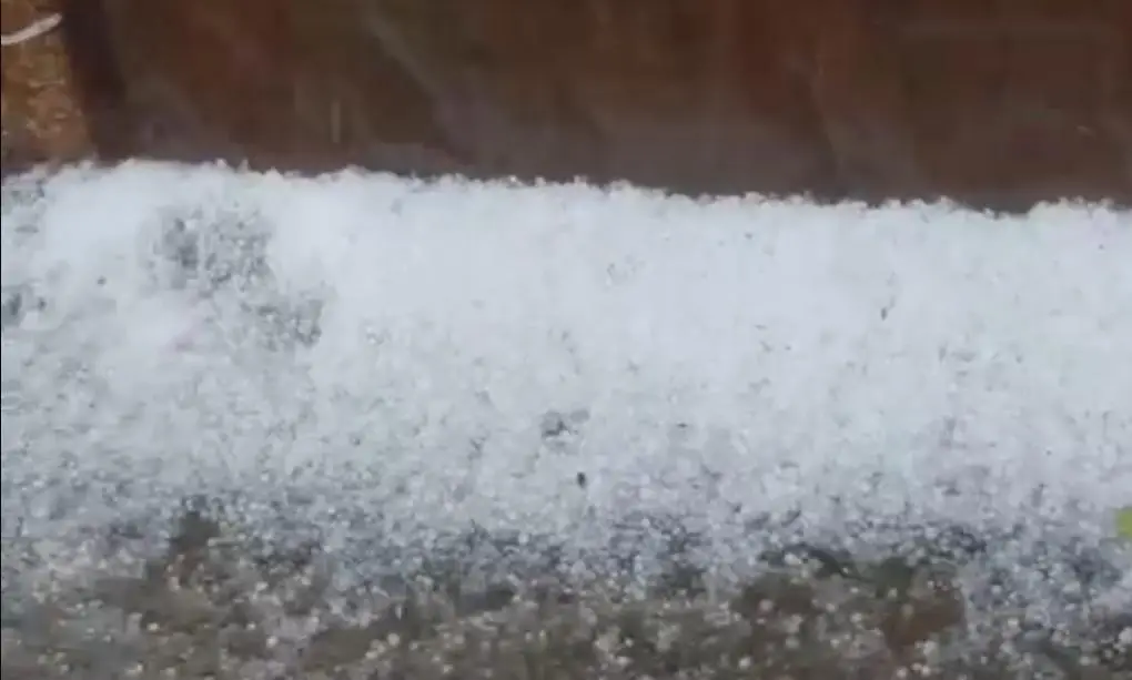 മൂന്നാറിലും ഊട്ടിയിലും ആലിപ്പഴമഴ:  കാലാവസ്ഥ മാറ്റം ശക്തം