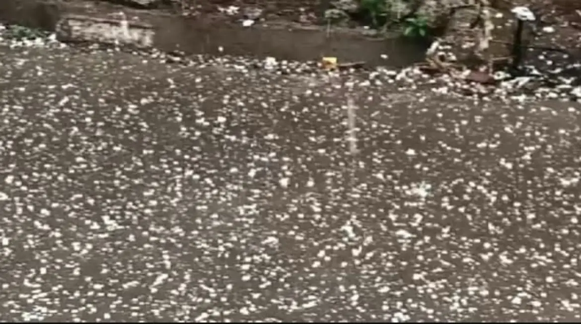 ബെംഗളൂരുവിലെ ആദ്യമഴ ചൂടിന് ആശ്വാസമായി, ആലിപ്പഴമഴയും ഇടിമിന്നലുമായി IMDയുടെ നാലുദിവസത്തെ മഴ മുന്നറിയിപ്പ്