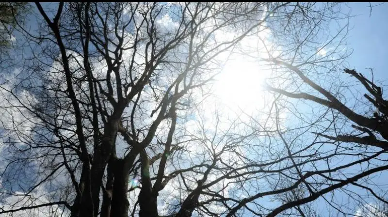 മാർച്ച് 21ന് വിഷുവം; പകലും രാത്രിയും ഏകദേശം തുല്യം, കേരളം കടുത്ത വേനലിലേക്കു കടക്കും 