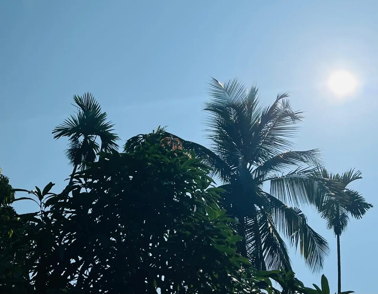 Kerala UV Index Alert 21/03/26 :കേരളത്തിൽ UV കിരണതീവ്രത ഉയരുന്നു, അൾട്രാവയലറ്റ് രശ്‌മികളെ സൂക്ഷിക്കുക, 8 ജില്ലകളിൽ ഓറഞ്ച് അലർട്ട്