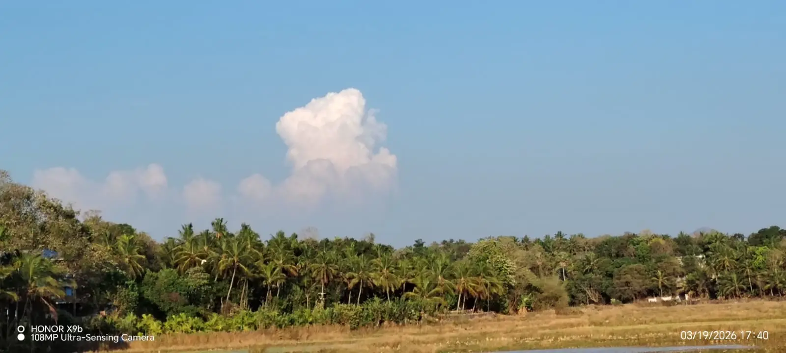 Kerala Weather Update: A Yellow Alert has been issued for 12 districts due to rising temperatures; rain is expected in these regions