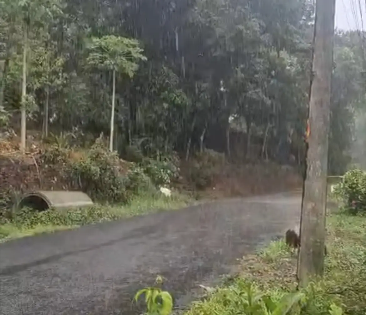 വേനൽചൂടിന് ആശ്വാസം; വയനാട്, പത്തനംതിട്ട ജില്ലകളിൽ വൈകിട്ട് മഴ എത്തി, അടുത്ത ദിവസങ്ങളിലും മഴ സാധ്യത