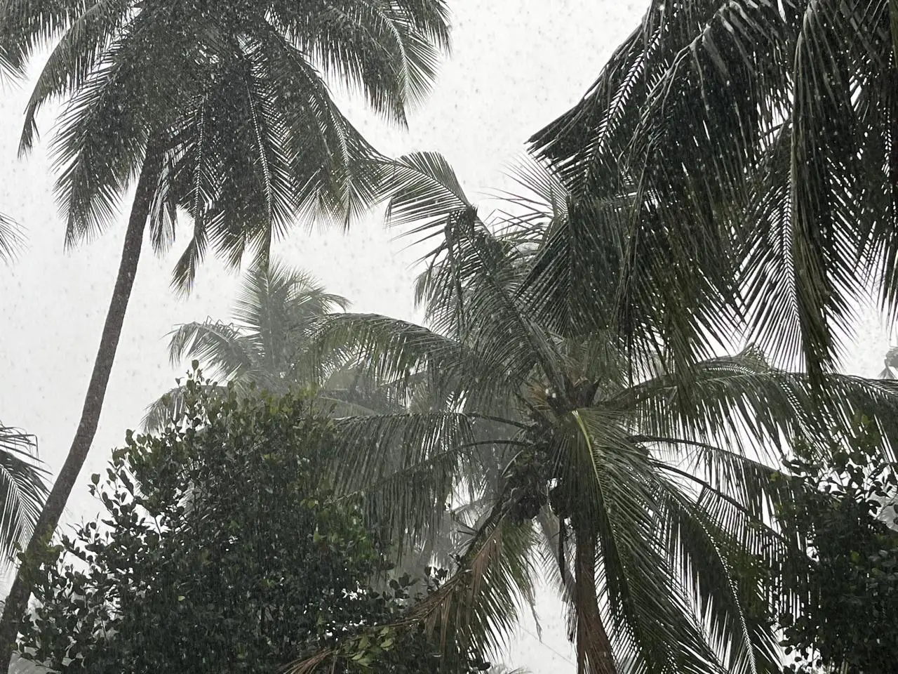 കേരളത്തിൽ അടുത്ത 5 ദിവസം മഴ സാധ്യത; 4 ജില്ലകളിൽ മഞ്ഞ അലർട്ട് പ്രഖ്യാപിച്ചു