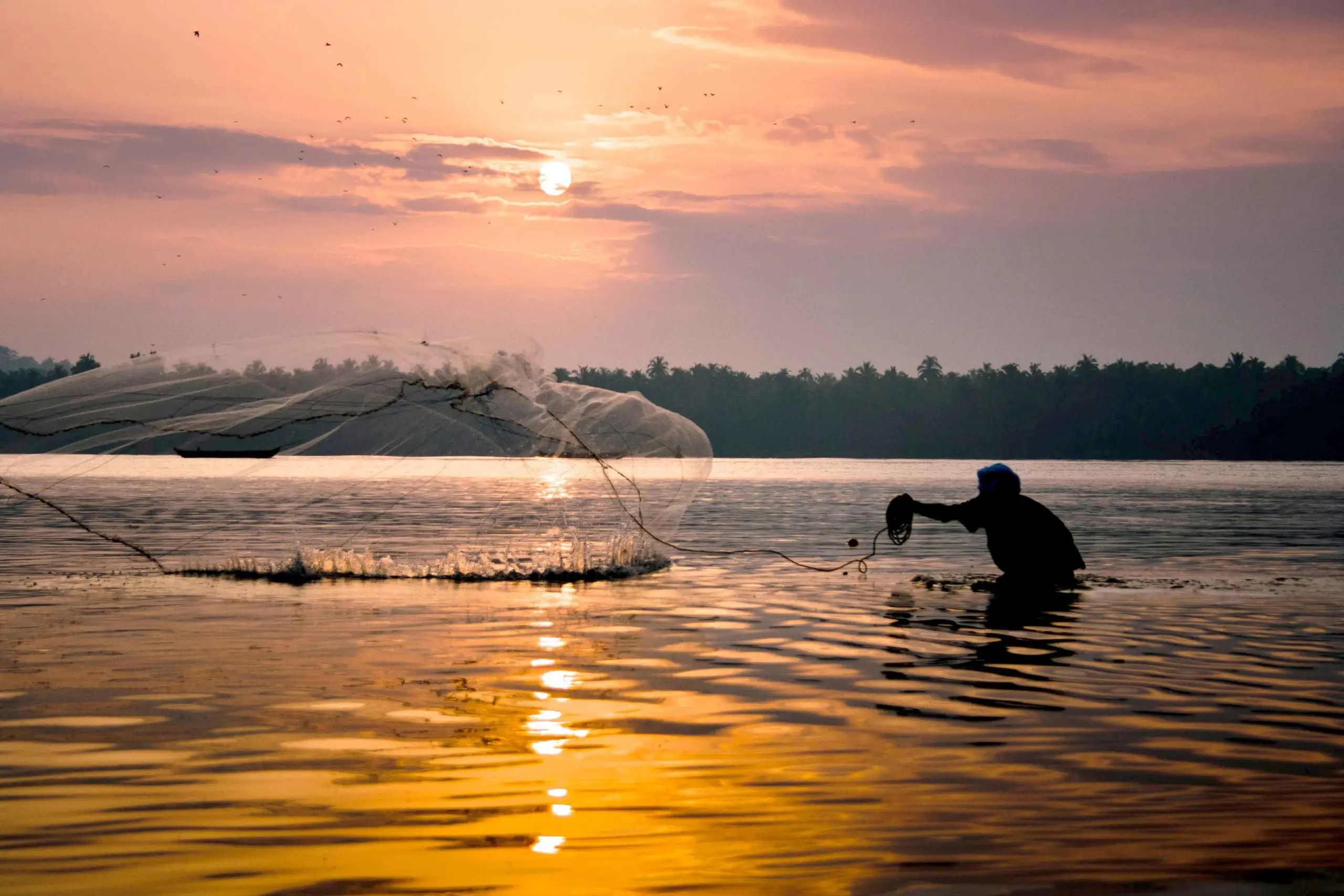 വേനൽ കടുത്തു; തീരക്കടലിൽ മത്സ്യലഭ്യത കുത്തനെ കുറഞ്ഞു