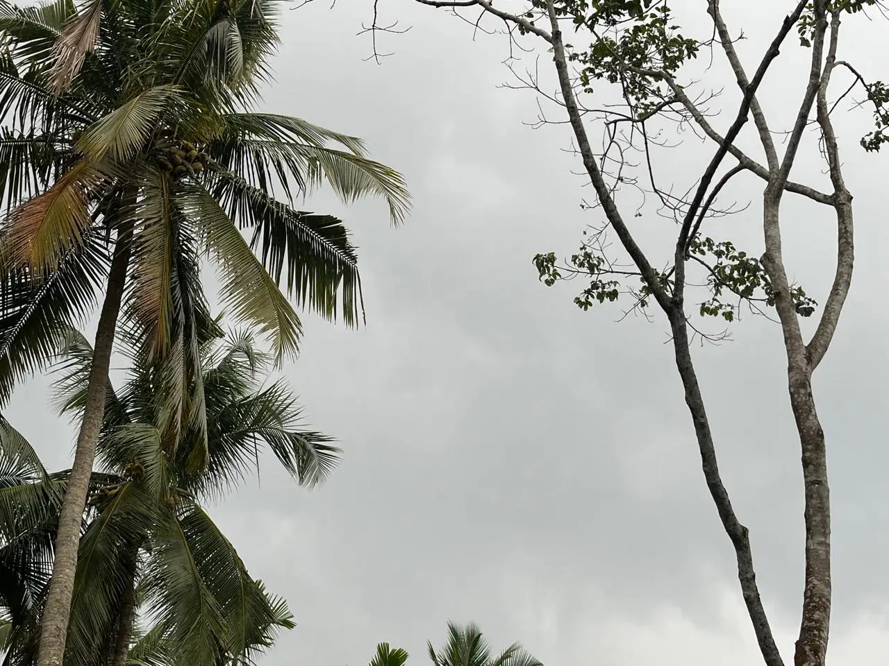 Kerala Weather 04/04/26 : ഇന്നത്തെ മഴ രാവിലെ തുടങ്ങി, കേരളത്തിൽ ഇന്ന് വേനൽമഴ ശക്തമാകും, വൈകിട്ട് ഇടിമിന്നലോടു കൂടിയ മഴയ്ക്ക് സാധ്യത