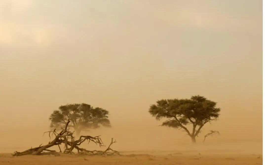 ഒമാനിൽ ശക്തമായ കാറ്റ് മുന്നറിയിപ്പ്, അറേബ്യൻ കടൽ തീരങ്ങളിൽ കടൽനിരപ്പ് ഉയരും, കാലാവസ്ഥ മാറും  