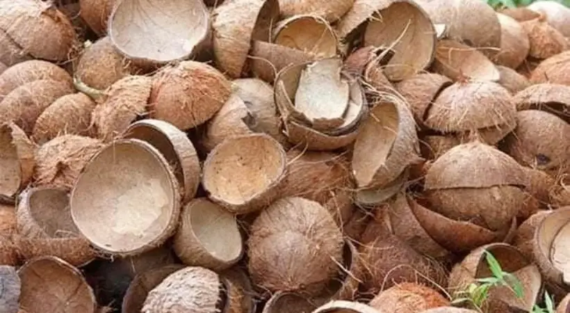 എ.സി വേണ്ട കറണ്ട് ബില്ലും കൂടില്ല , മുറി തണുപ്പിക്കാൻ ‘ഐസ് ട്രിക്ക്’ വൈറൽ, രണ്ട് ചിരട്ടയിൽ തണുപ്പ് പരിഹരിക്കാം