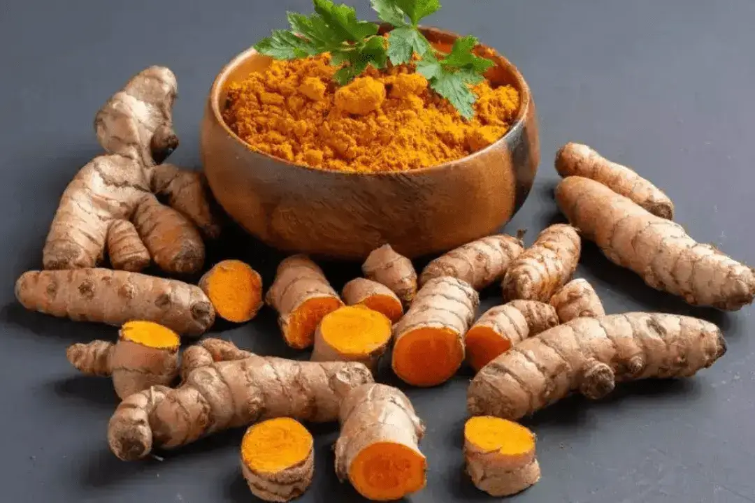 മഴ ലഭിച്ചതോടെ ഇനി മഞ്ഞൾ നടാം, കേരളത്തിന് അനുയോജ്യം 'ശോഭ', പ്രത്യേകതകൾ അറിയാം