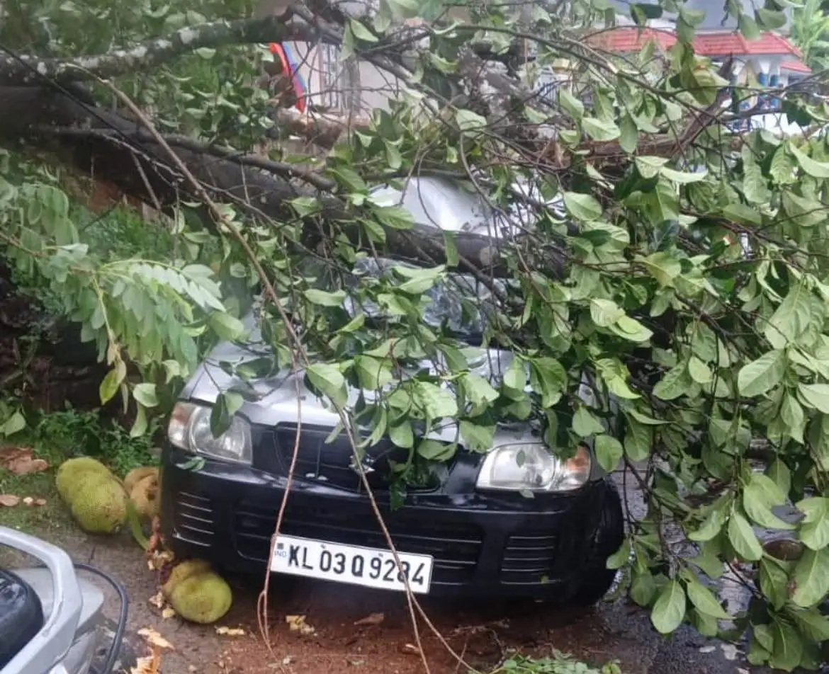 തിരഞ്ഞെടുപ്പ് ചൂട് മാറി; സംസ്ഥാനത്ത് വേനൽമഴ ശക്തം, ചിലയിടങ്ങളിൽ നാശനഷ്ടങ്ങൾ