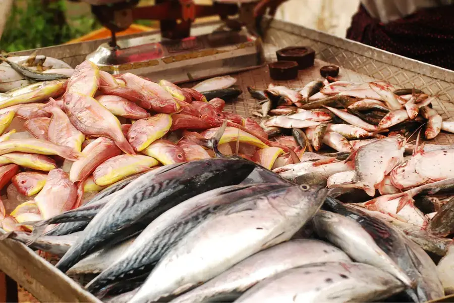 കടുത്ത ചൂട്; മത്സ്യങ്ങൾ ആഴക്കടലിലേക്ക്, മത്തി ഉൾപ്പെടെയുള്ള മീനുകൾക്ക്  വില കുതിക്കുന്നു