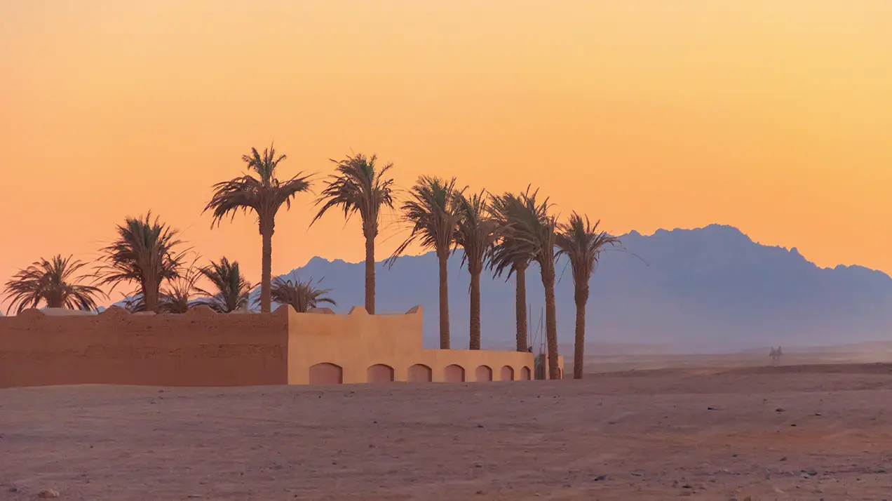 യുഎഇയിൽ വരും ദിവസങ്ങളിൽ പൊടി കാറ്റും ഉയർന്ന ഈർപ്പവും മൂടൽ മഞ്ഞിനും സാധ്യത