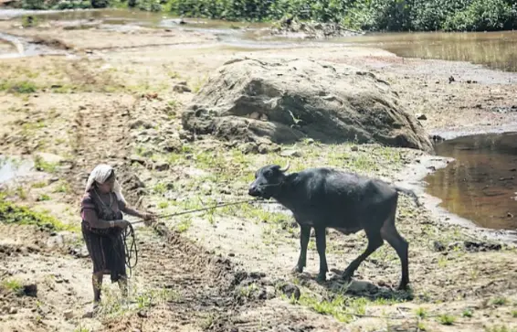 വേനൽമഴയിൽ വൻ കുറവ്; 67% വരെ ഇടിവ്, കേരളം കടുത്ത വരൾച്ചയിലേക്ക്