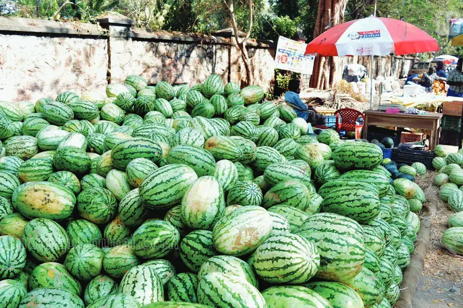 ചൂട് കനത്തതോടെ തണ്ണിമത്തന്‍ വില കുതിച്ചു, ആവശ്യം കൂടിയപ്പോൾ തണ്ണിമത്തൻ കിട്ടാനുമില്ല