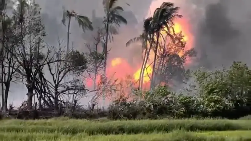 തൃശ്ശൂർ വെടിക്കെട്ട് അപകടം: ശരീരഭാഗങ്ങൾ ചിന്നി ചിതറി, വേനൽകാലത്തെ പടക്ക നിർമ്മാണവും സുരക്ഷാ വീഴ്ചയും ദുരന്തത്തിലേക്ക് ?