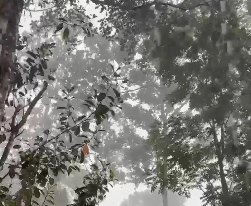 Kerala Weather : ചൂട് കനക്കും, പൊള്ളുന്ന ചൂടിനിടയിൽ ആശ്വാസമായി ജില്ലകളിൽ വേനൽമഴ എത്തി