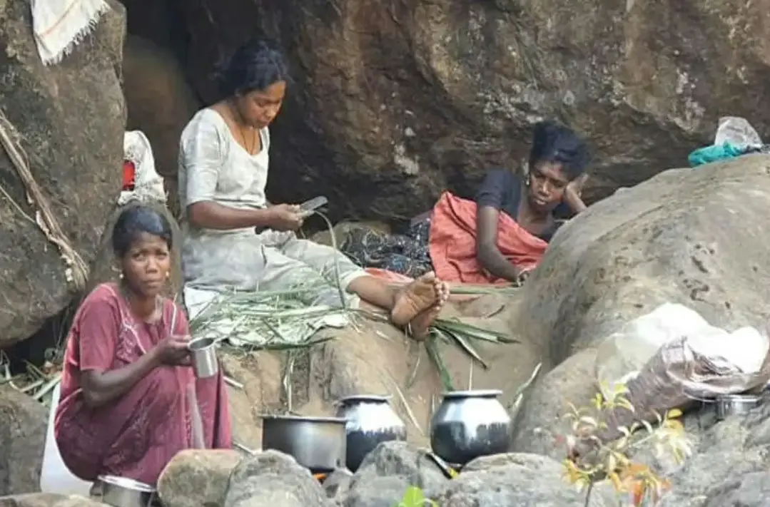 കനത്ത ചൂടു കാരണം കാട്ടിൽ ജീവിക്കാൻ വയ്യ, കുടിവെള്ള ക്ഷാമവും, ആദിവാസി കുടുംബങ്ങൾ പുഴയോരത്തേക്ക് കുടിയേറി 