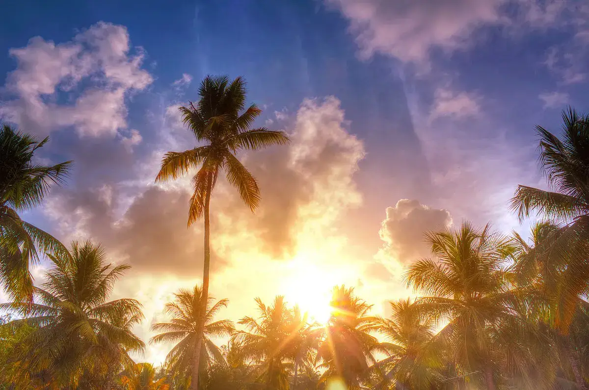 കേരളത്തിൽ ഉഷ്ണ തരംഗ മുന്നറിയിപ്പ് പിൻവലിച്ചു, ഇന്ന് ഏഴ് പേർക്ക് സൂര്യാതപമേറ്റു , അപ്രഖ്യാപിത ലോഡ് ഷെഡിംഗ് ഇല്ല