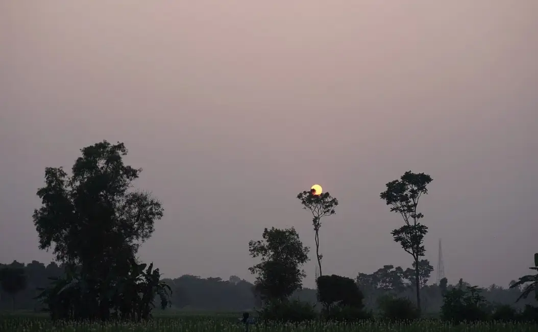 കേരളം ഉൾപ്പെടെ ചില സംസ്ഥാനങ്ങളിൽ മഴ; ഉത്തരേന്ത്യയിൽ ചൂട് കനക്കുന്നു, ‘വോം നൈറ്റ്’  സാഹചര്യവും 
