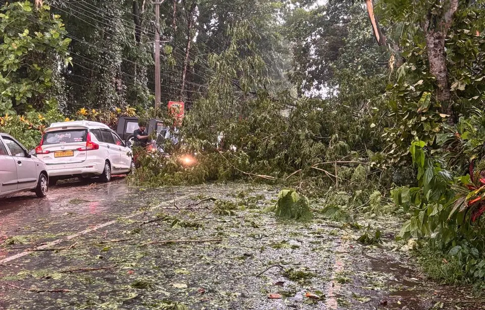 തെക്ക്, മധ്യ കേരളത്തില്‍ കനത്ത മഴ, വ്യാപക നാശനഷ്ടം