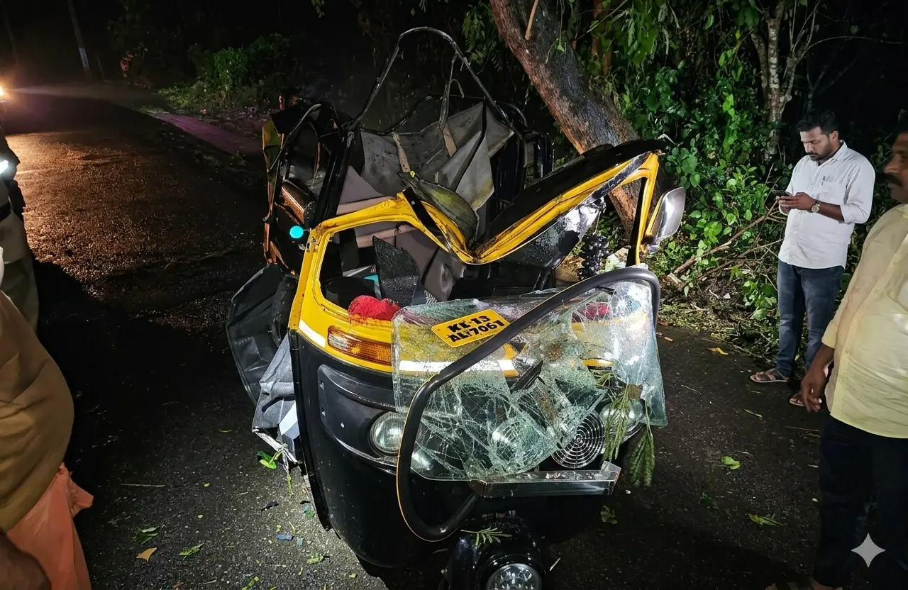 വേനല്‍ മഴ വടക്കന്‍ ജില്ലകളിലും ; മരം ഓട്ടോയ്ക്കു മുകളില്‍ വീണ് സ്ത്രീ മരിച്ചു