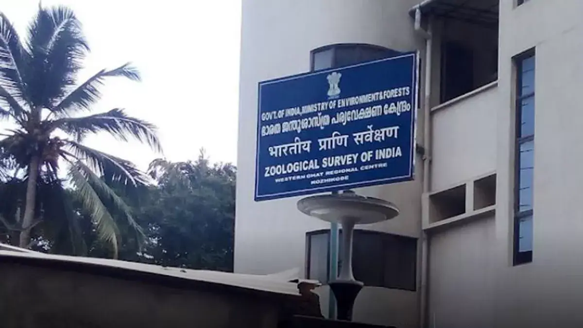 സുവോളജിക്കൽ സർവേ ഓഫ് ഇന്ത്യ യുടെ 111 മണിക്കൂർ ദേശീയ ഹാക്കത്തോൺ; അപേക്ഷകൾ ക്ഷണിക്കുന്നു