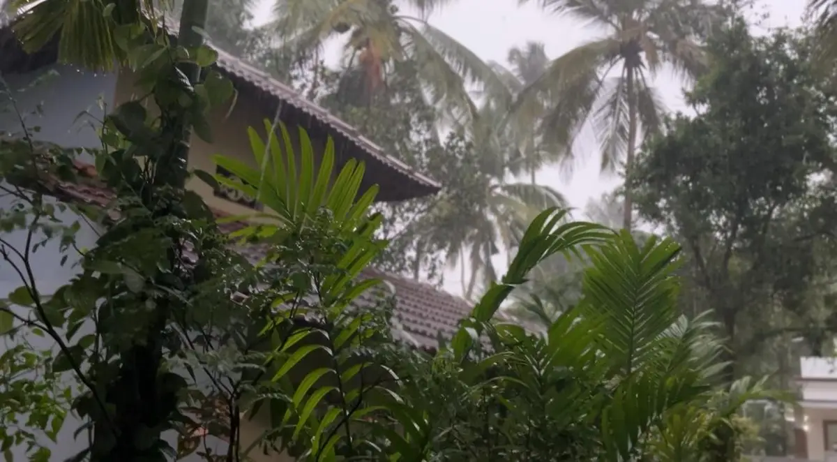 Kerala Weather : രാജ്യത്തുടനീളം വ്യത്യസ്ത കാലാവസ്ഥ, 14 വരെ കേരളത്തിൽ മഴ തുടരും, ഇന്ന് മൂന്ന് ജില്ലകളിൽ യെല്ലോ അലേർട്ട്