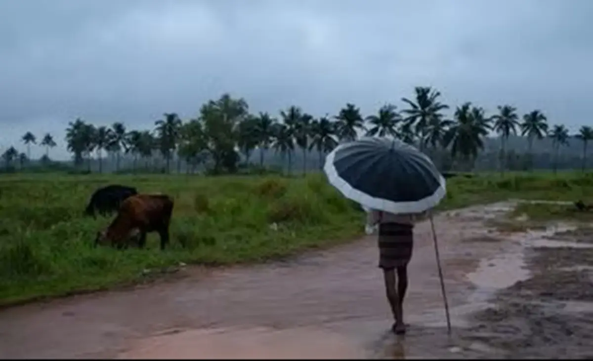 ഇത്തവണ ജൂൺ ഒന്നിന് മുമ്പേ മൺസൂൺ; പ്രഖ്യാപനത്തിന് IMD നോക്കുന്നത് ഇക്കാര്യങ്ങൾ