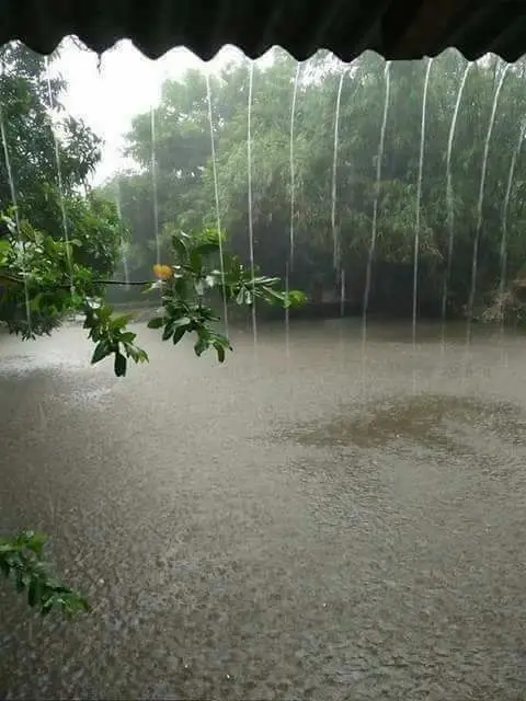 southwest-monsoon-advances-rapidly-heavy-rain-forecast-for-kerala