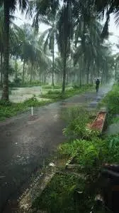 monsoon-season-is-gaining-strength-in-kerala-widespread-rains-in-the-state-in-the-coming-days