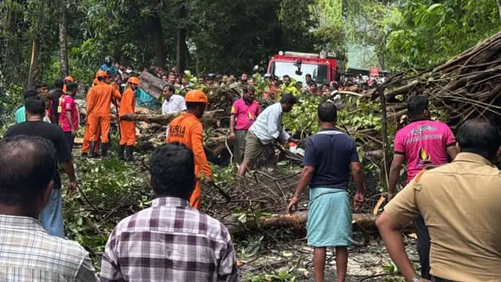 കോഴിക്കോട് ജില്ലയിൽ കനത്ത മഴ ; ചുരത്തിൽ മരം വീണ് ഗതാഗതം തടസ്സപ്പെട്ടു