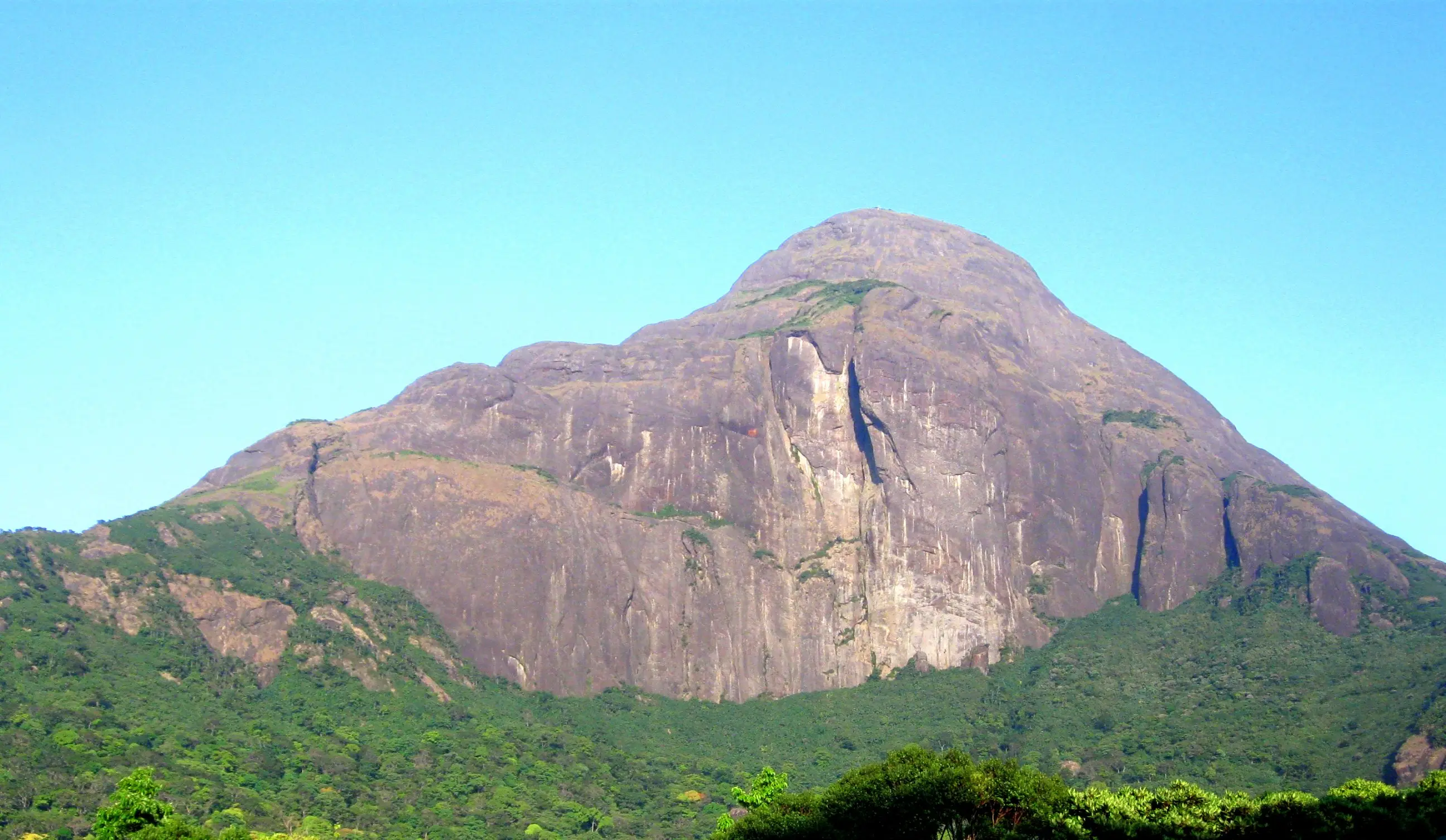 SC directs removal of encroachments from Agasthyamalai ecological landscape