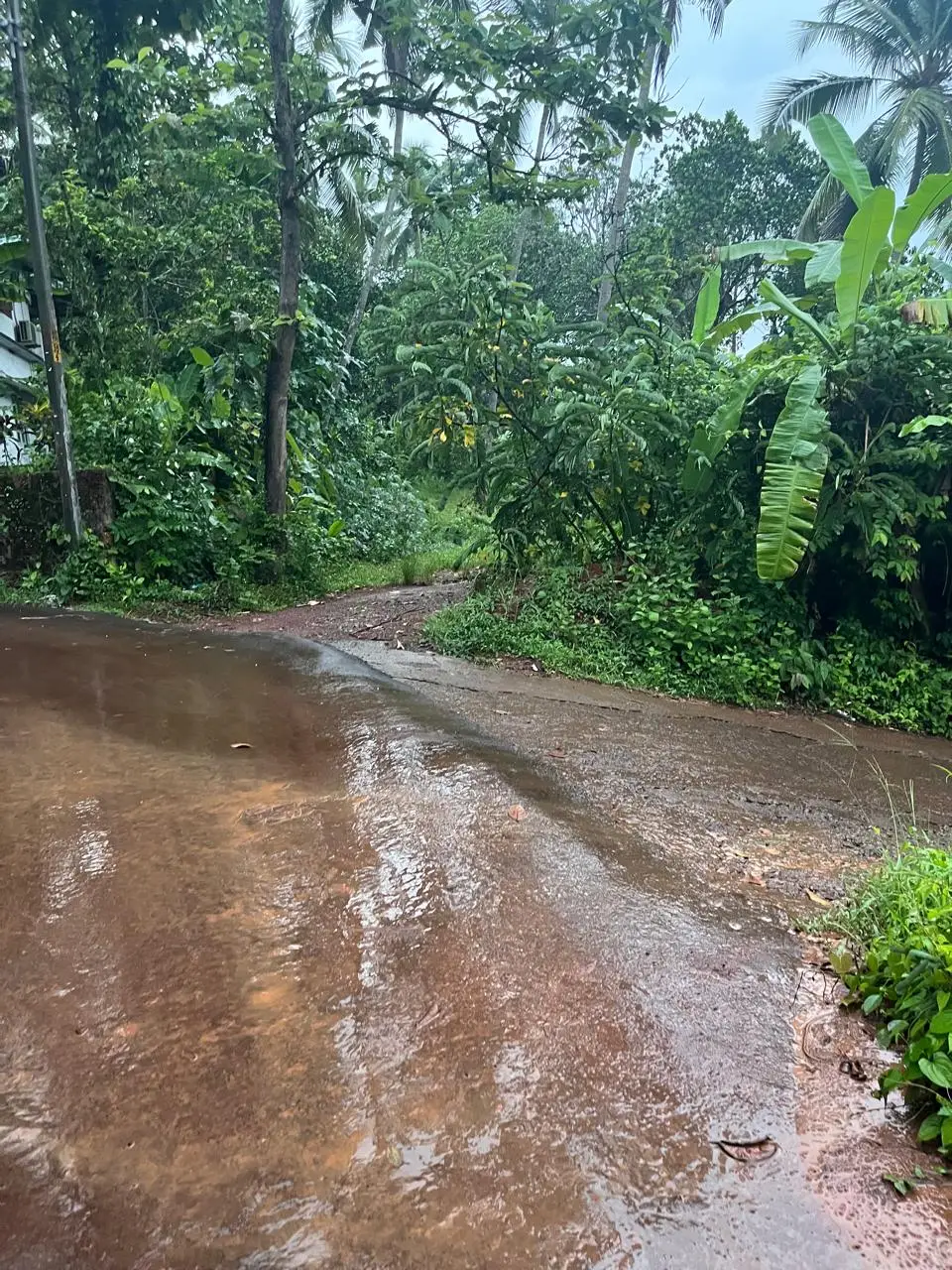 monsoon-to-arrive-in-kerala-by-tomorrow-heavy-rain-likely-for-five-days