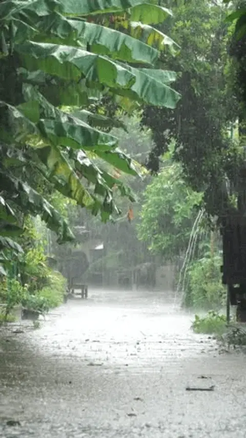 Kerala Weather 09/06/26 : മഴ തുടരുന്നു, 3 ജില്ലകളിൽ വിദ്യാഭ്യാസ സ്ഥാപനങ്ങൾക്ക് ഇന്ന് അവധി