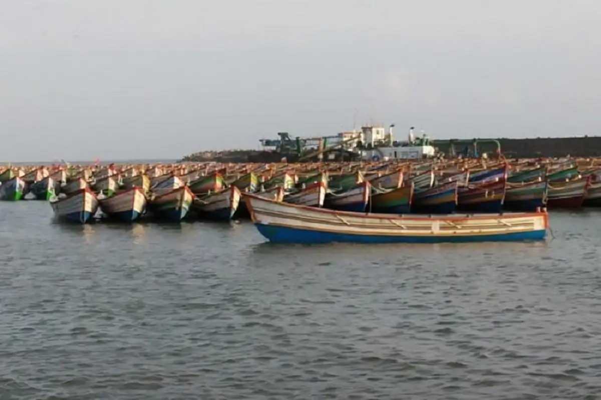 കേരളത്തിൽ ഇനി ട്രോളിങ് നിരോധനകാലം; മീൻ വാങ്ങി ഫ്രീസറിൽ സൂക്ഷിക്കുമ്പോൾ ഇക്കാര്യങ്ങൾ അറിയണം