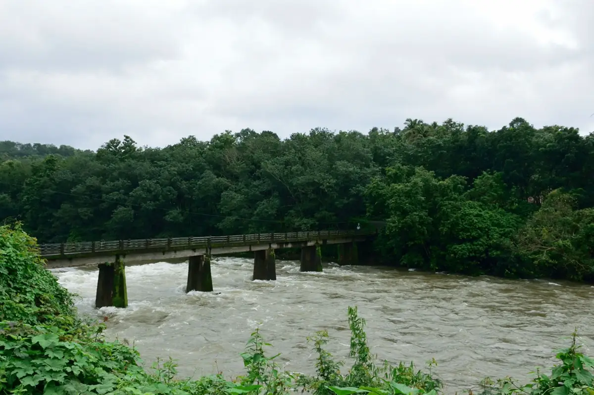 ജലനിരപ്പ് ഉയരുന്നു: കരമന, മണിമല നദികളിൽ മഞ്ഞ അലർട്ട്; തീരവാസികൾക്ക് ജാഗ്രത നിർദേശം
