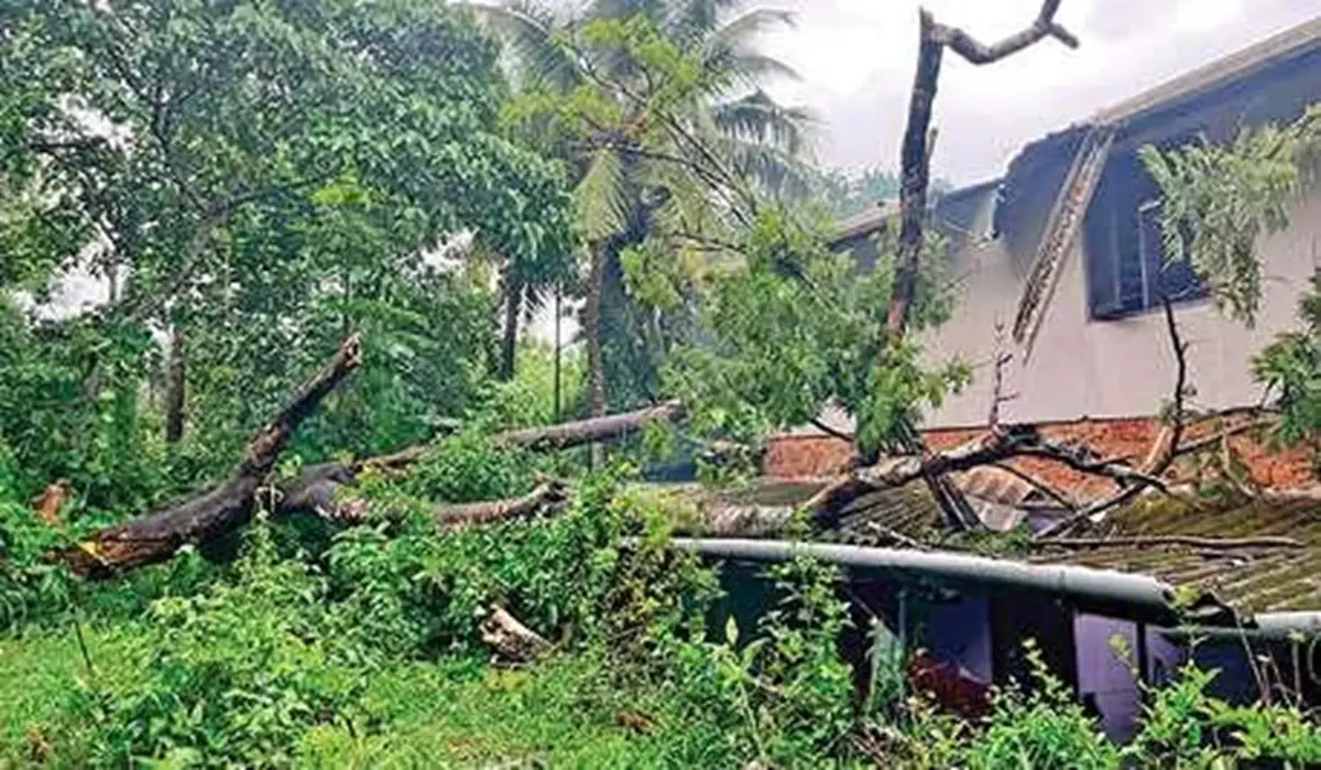 കേരളത്തിൽ ശക്തമായ കാറ്റിന് മുന്നറിയിപ്പ്; മൂന്ന് ദിവസം അതീവ ജാഗ്രത, ഇക്കാര്യങ്ങൾ ശ്രദ്ധിക്കുക