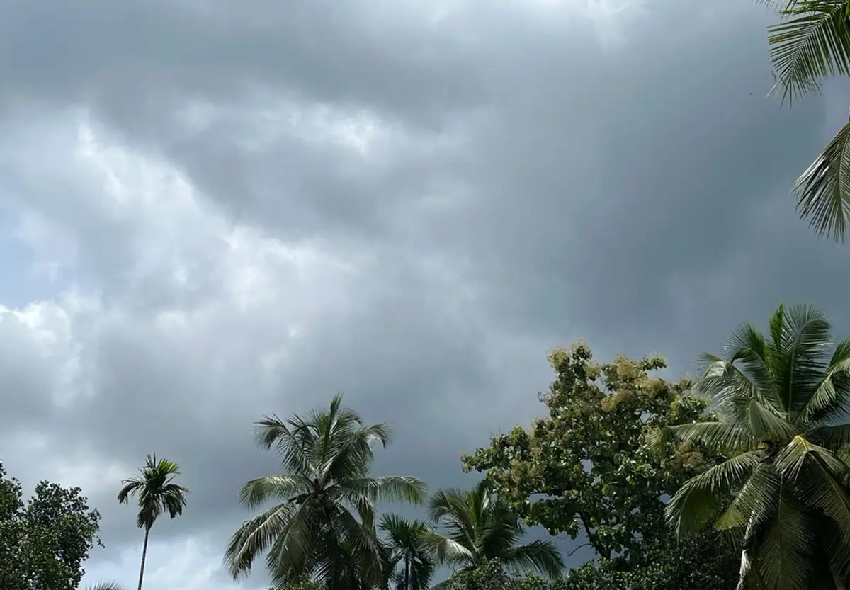കാലവർഷം കൂടുതൽ ശക്തമാകുന്നു; വ്യാപക മഴയ്ക്ക് സാധ്യത